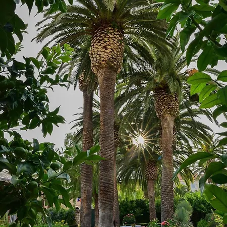 Villa Kaleta Brac Sutivan